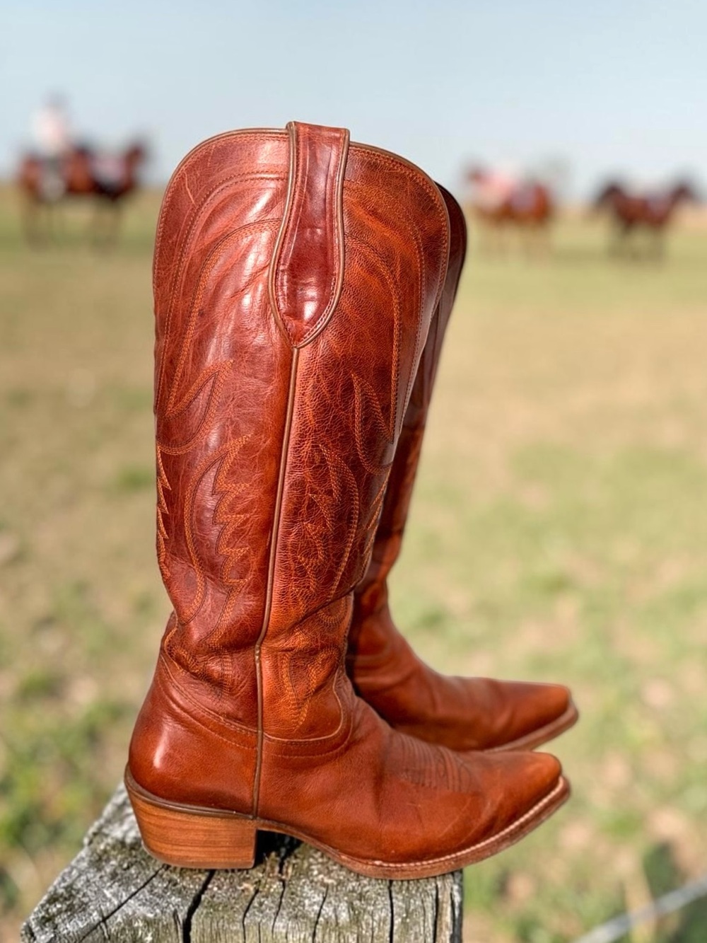 Tony Lama Derby Liz Tall Leather Cognac Western Snip Toe Cowboy Boots 8.5 - Picture 3 of 13